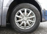 T.NOAH S GRAY