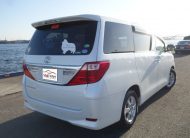 T.ALPHARD PEARL
